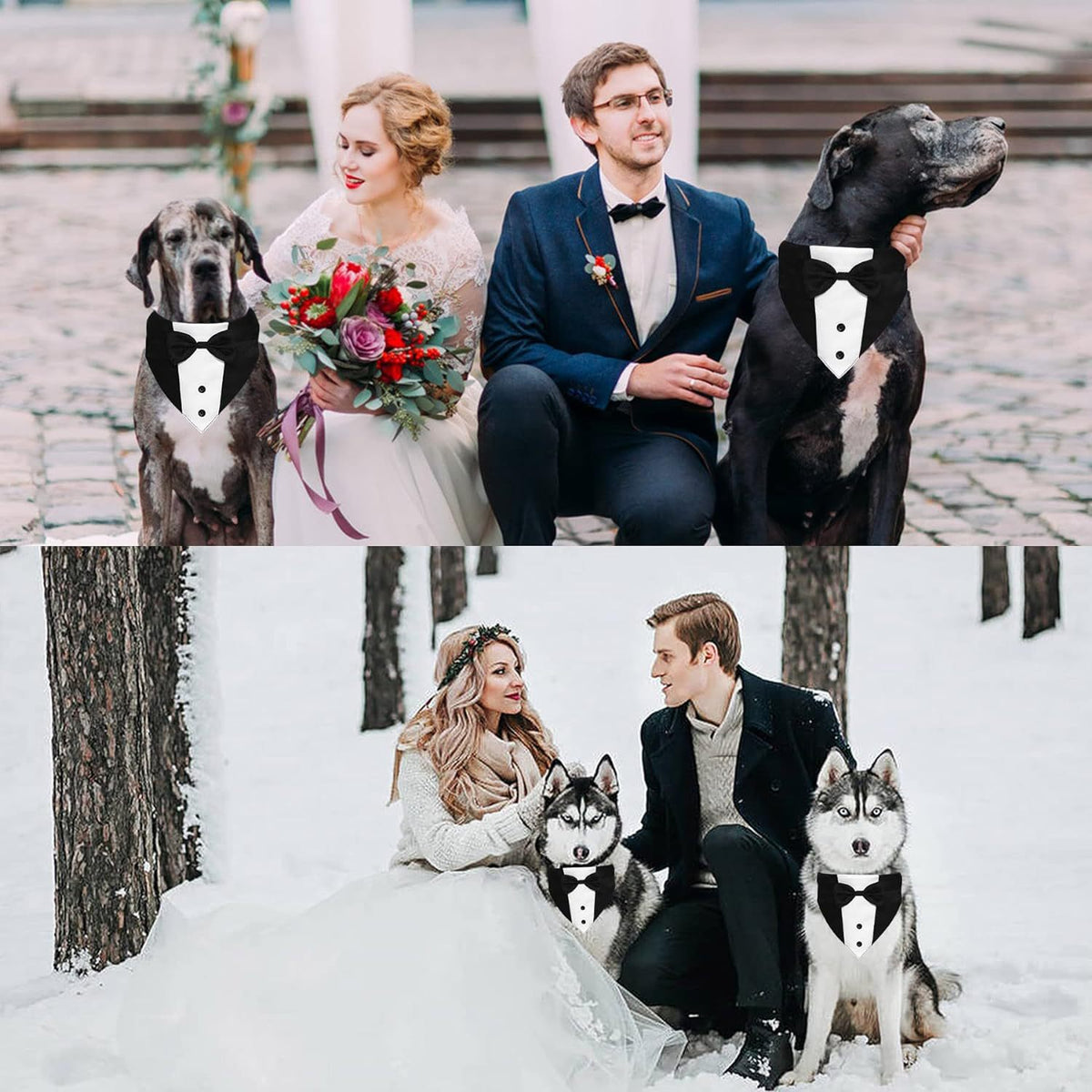Pet Tuxedo with Bow Tie and Bandana