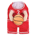 Basketball Player Pet Costume