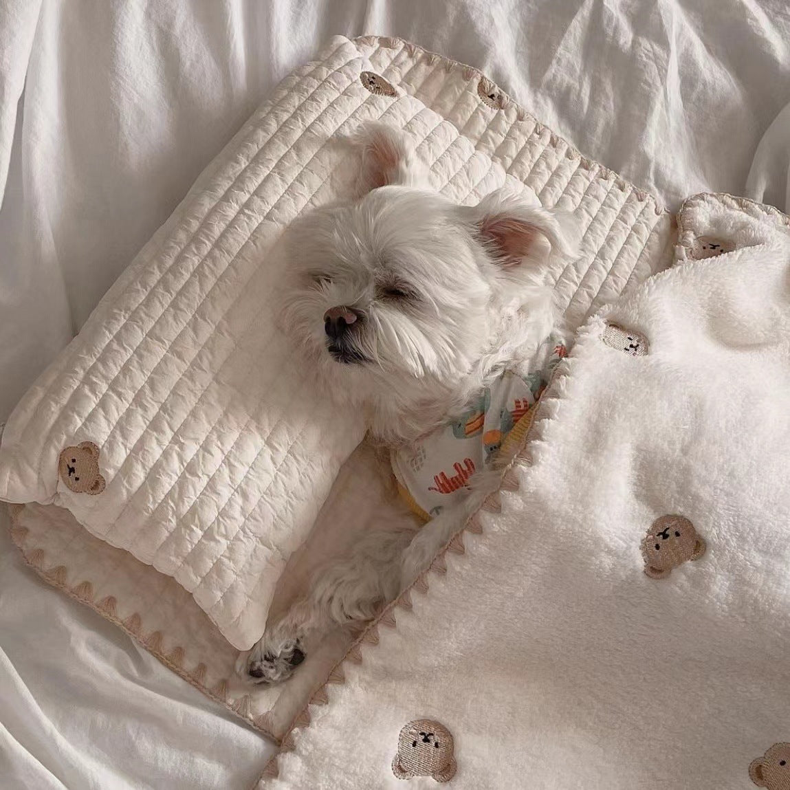 Pet Bed with Removable Square Cushion