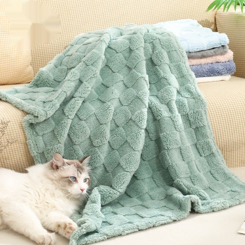 Coral Fleece Pet Blanket